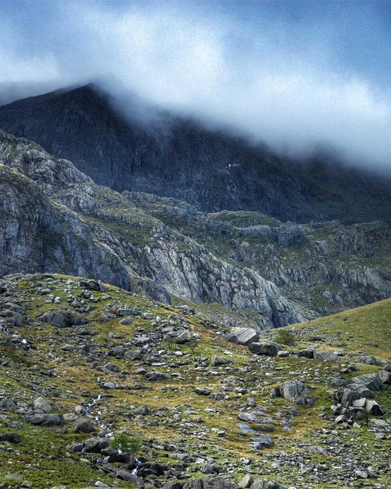 Pearl & Petal Boudoir