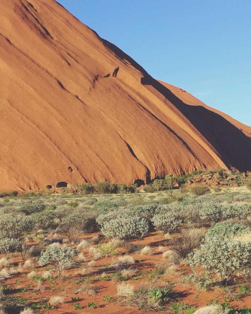 The Boudoir Collective